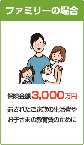 ファミリーの場合 保険金額3,000万円